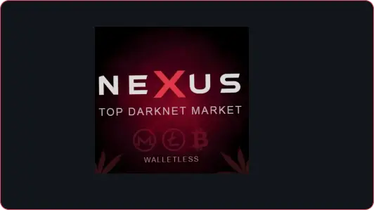Nexus Market onion version